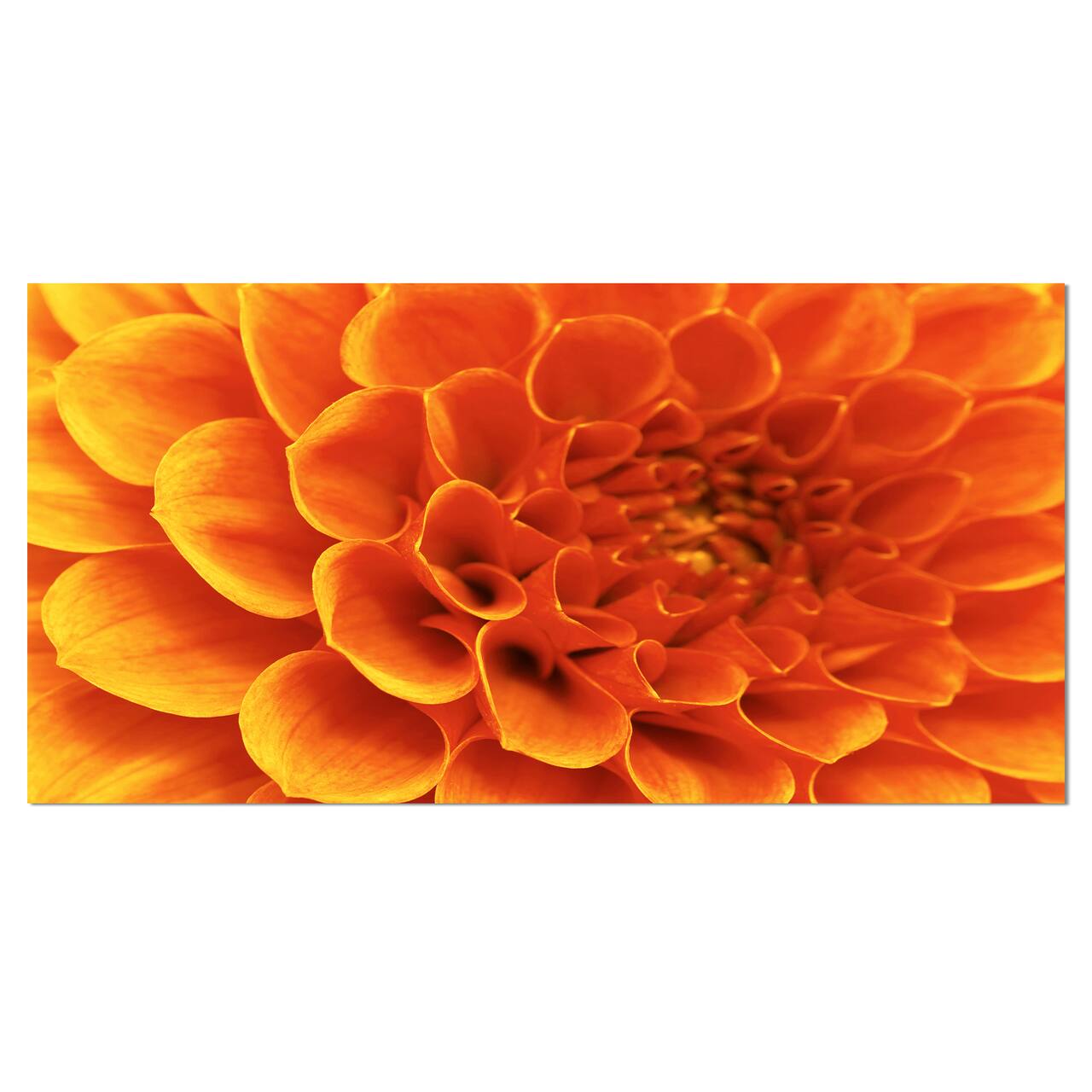 Designart - Large Orange Flower and Petals - Floral Canvas Art Print
